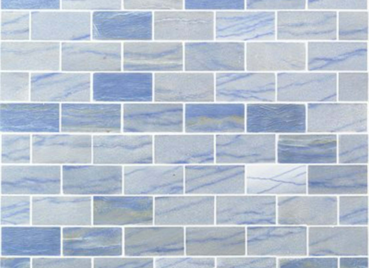 Blue Macauba in Blue Macauba 2x4