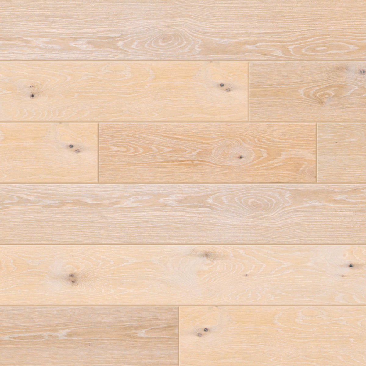 Oak Grove in Toumey Hardwood