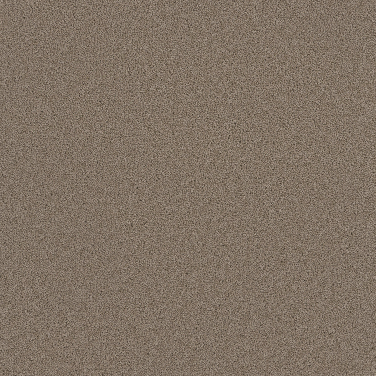 Broadcast in Ash Carpet