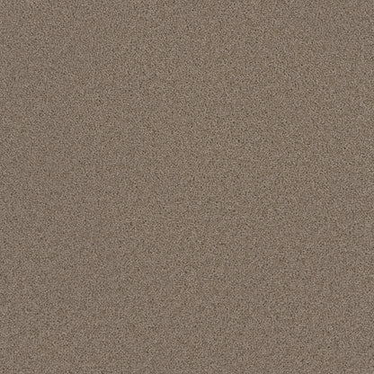 Broadcast in Ash Carpet