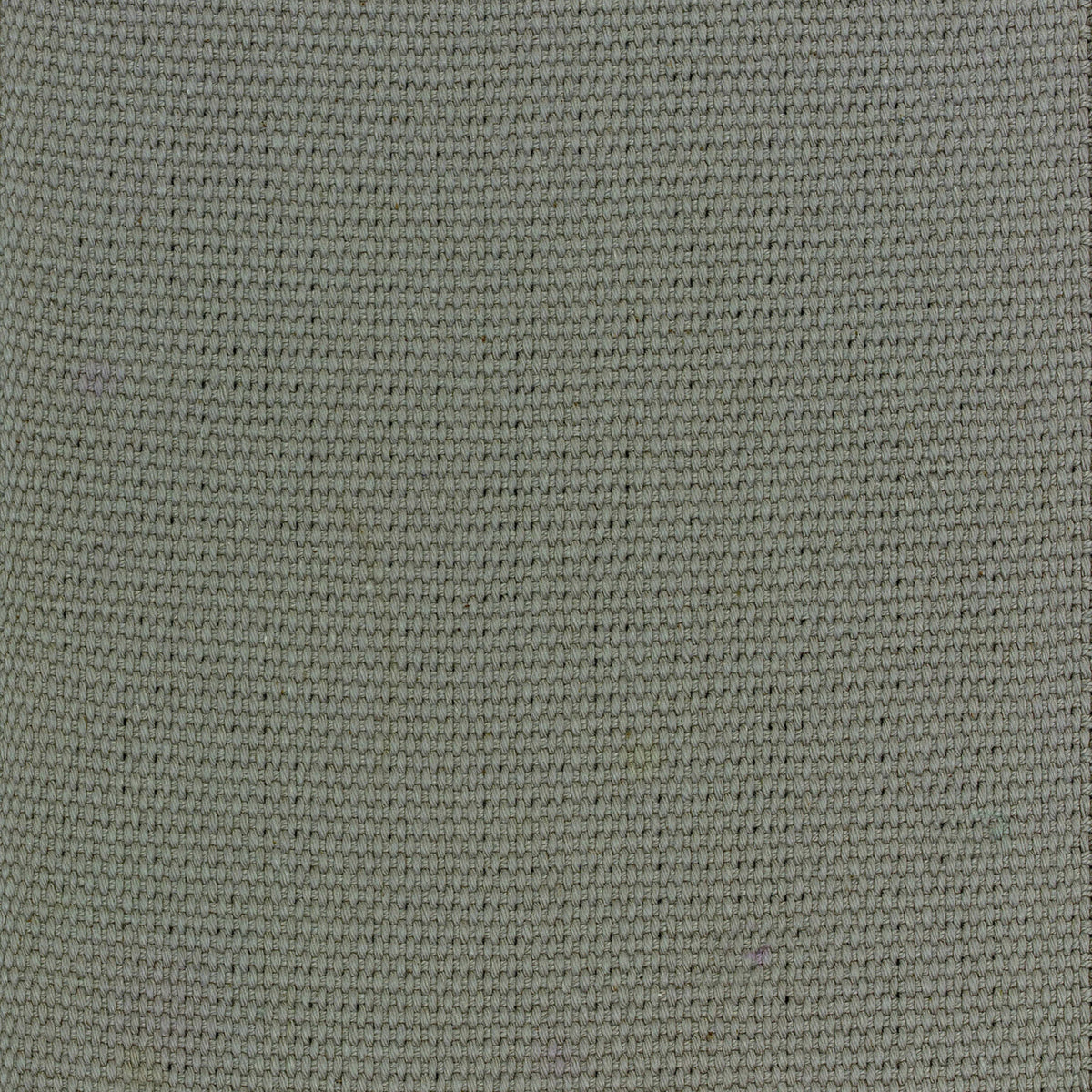 Cotton Straight 5" in Pebble Carpet