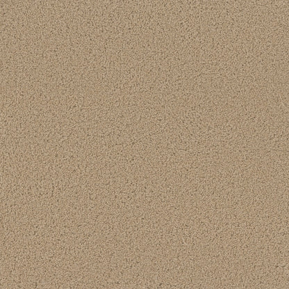 BROADCAST PLUS in Cookie Dough Carpet