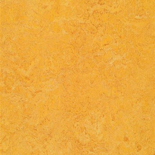 Marmoleum Real in Dandelion Vinyl Sheet Goods