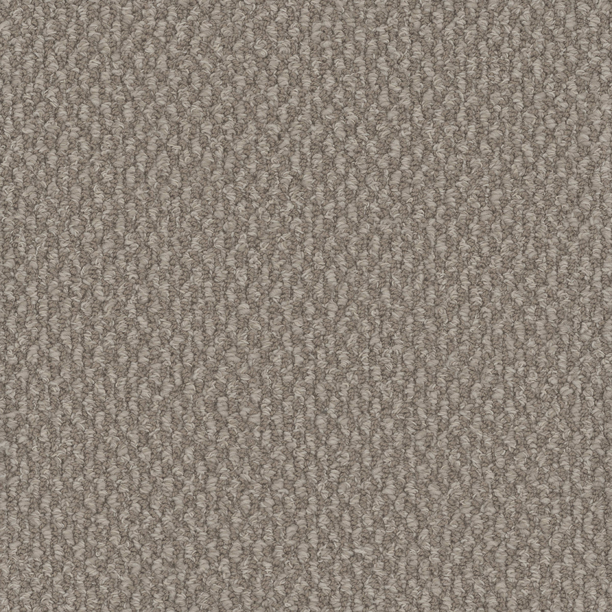 Galactic in Pebble Hill Carpet