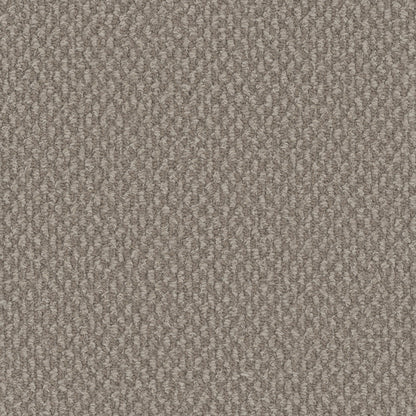 Galactic in Pebble Hill Carpet