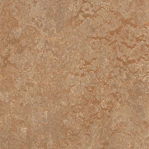 Marmoleum Real in Shitake Vinyl Sheet Goods