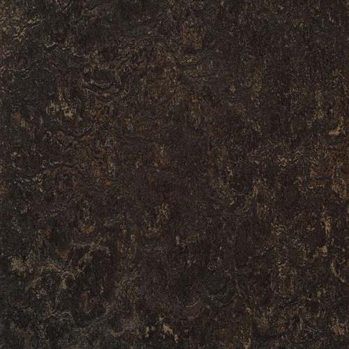 Marmoleum Real in Dark Bistre Vinyl Sheet Goods