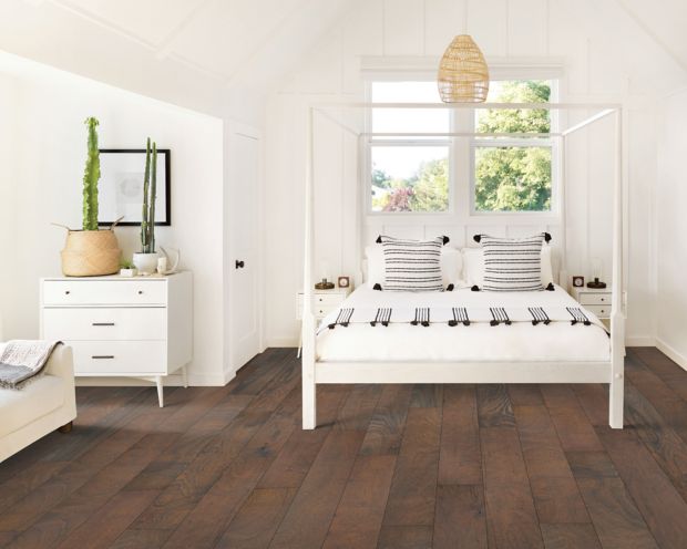 Carillion Birch in Gunpowder Birch