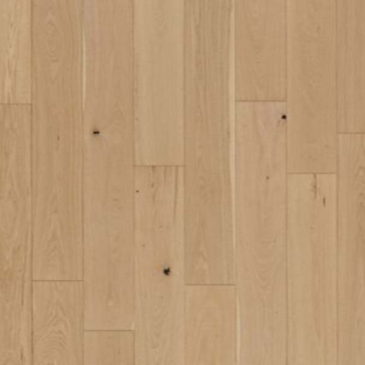 Collington in Champagne Oak Hardwood