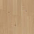 Collington in Champagne Oak Hardwood