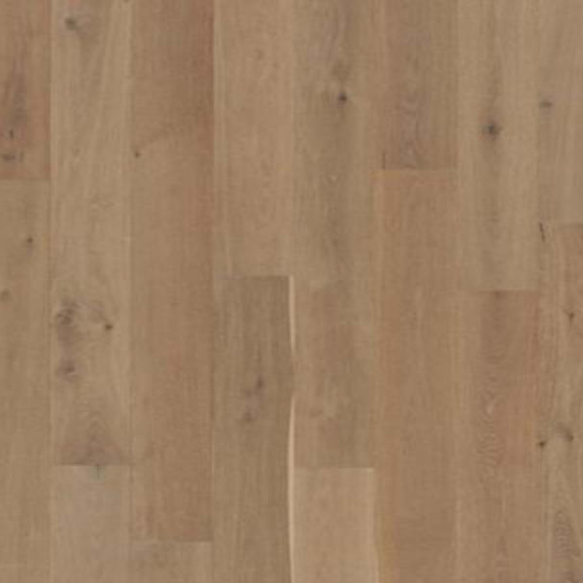 Brevanna in Cobble Path Oak Hardwood