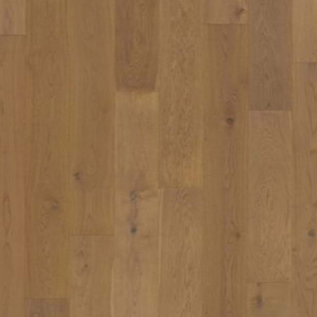 Brevanna in Fumed Oak Hardwood