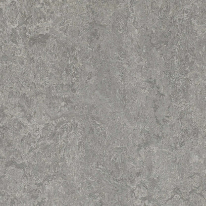 Marmoleum - Cinch LOC SEAL in Serene Grey Vinyl Sheet Goods