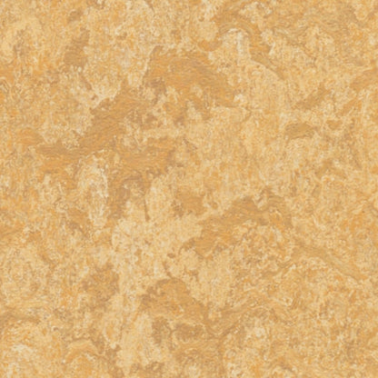 Marmoleum - Cinch LOC SEAL in Van Gogh Vinyl Sheet Goods