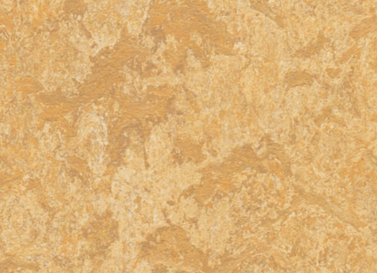 Marmoleum - Cinch LOC SEAL in Van Gogh
