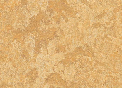 Marmoleum - Cinch LOC SEAL in Van Gogh