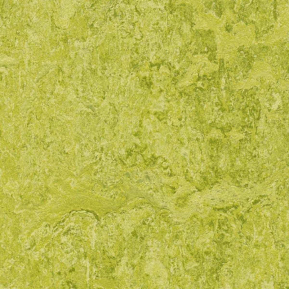 Marmoleum - Cinch LOC SEAL in Chartreuse Vinyl Sheet Goods