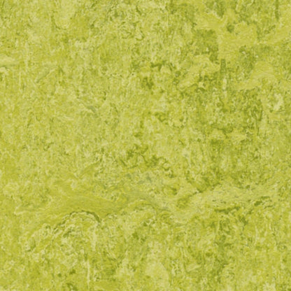 Marmoleum - Cinch LOC SEAL in Chartreuse Vinyl Sheet Goods