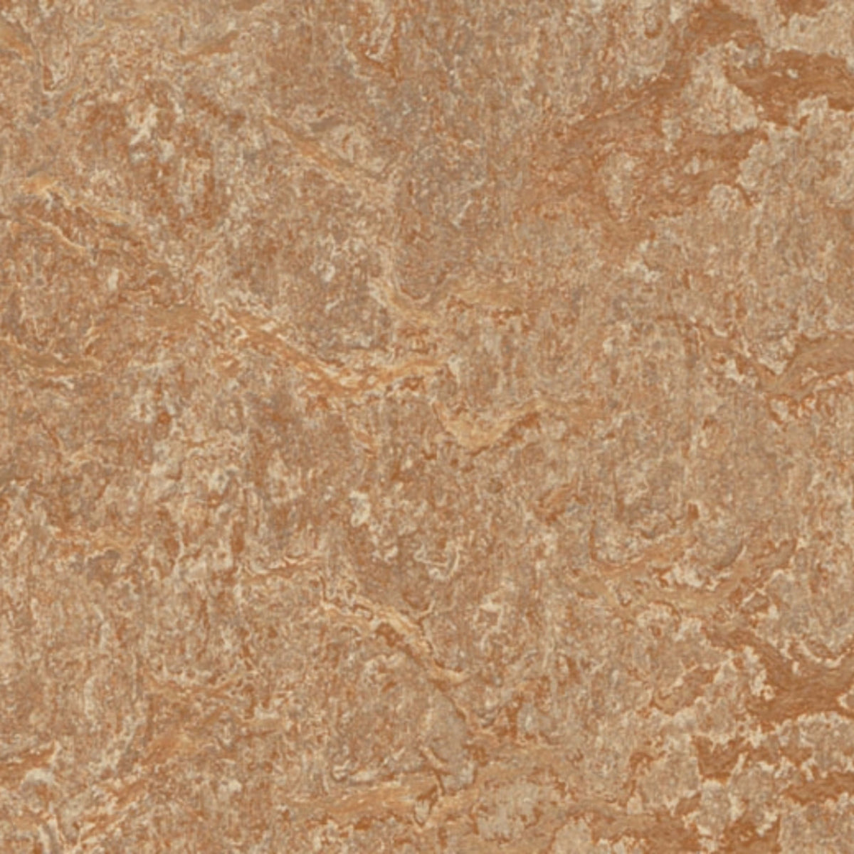 Marmoleum - Cinch LOC SEAL in Shitake Vinyl Sheet Goods