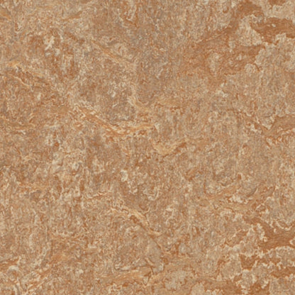 Marmoleum - Cinch LOC SEAL in Shitake Vinyl Sheet Goods