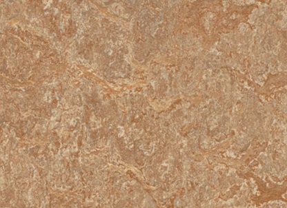 Marmoleum - Cinch LOC SEAL in Shitake
