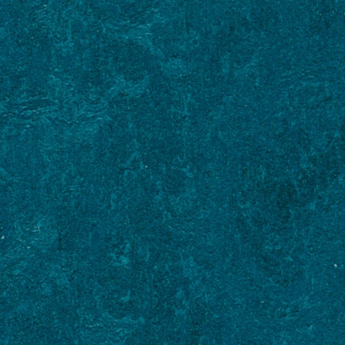 Marmoleum - Cinch LOC SEAL in Adriatica Vinyl Sheet Goods