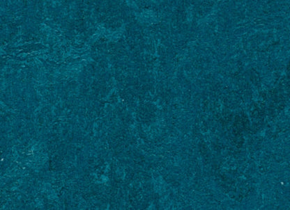 Marmoleum - Cinch LOC SEAL in Adriatica