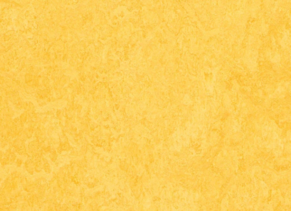 Marmoleum - Cinch LOC SEAL in Lemon Zest