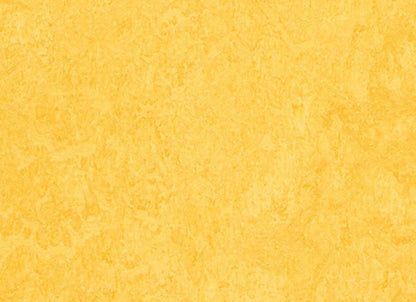 Marmoleum - Cinch LOC SEAL in Lemon Zest