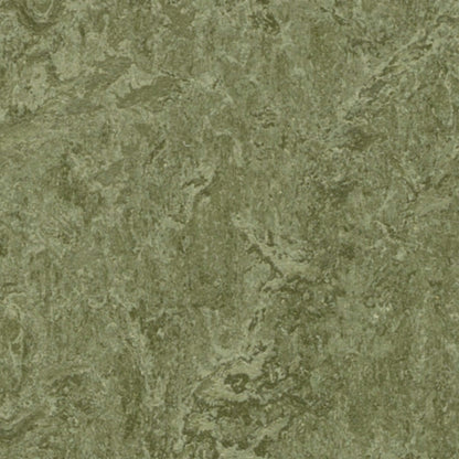 Marmoleum - Cinch LOC SEAL in Pine Forest Vinyl Sheet Goods