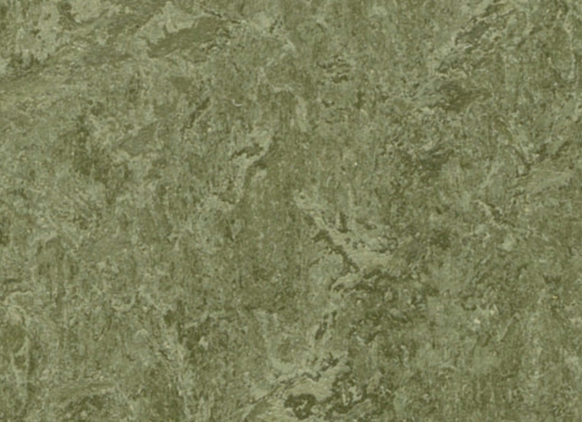 Marmoleum - Cinch LOC SEAL in Pine Forest