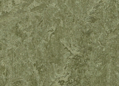 Marmoleum - Cinch LOC SEAL in Pine Forest