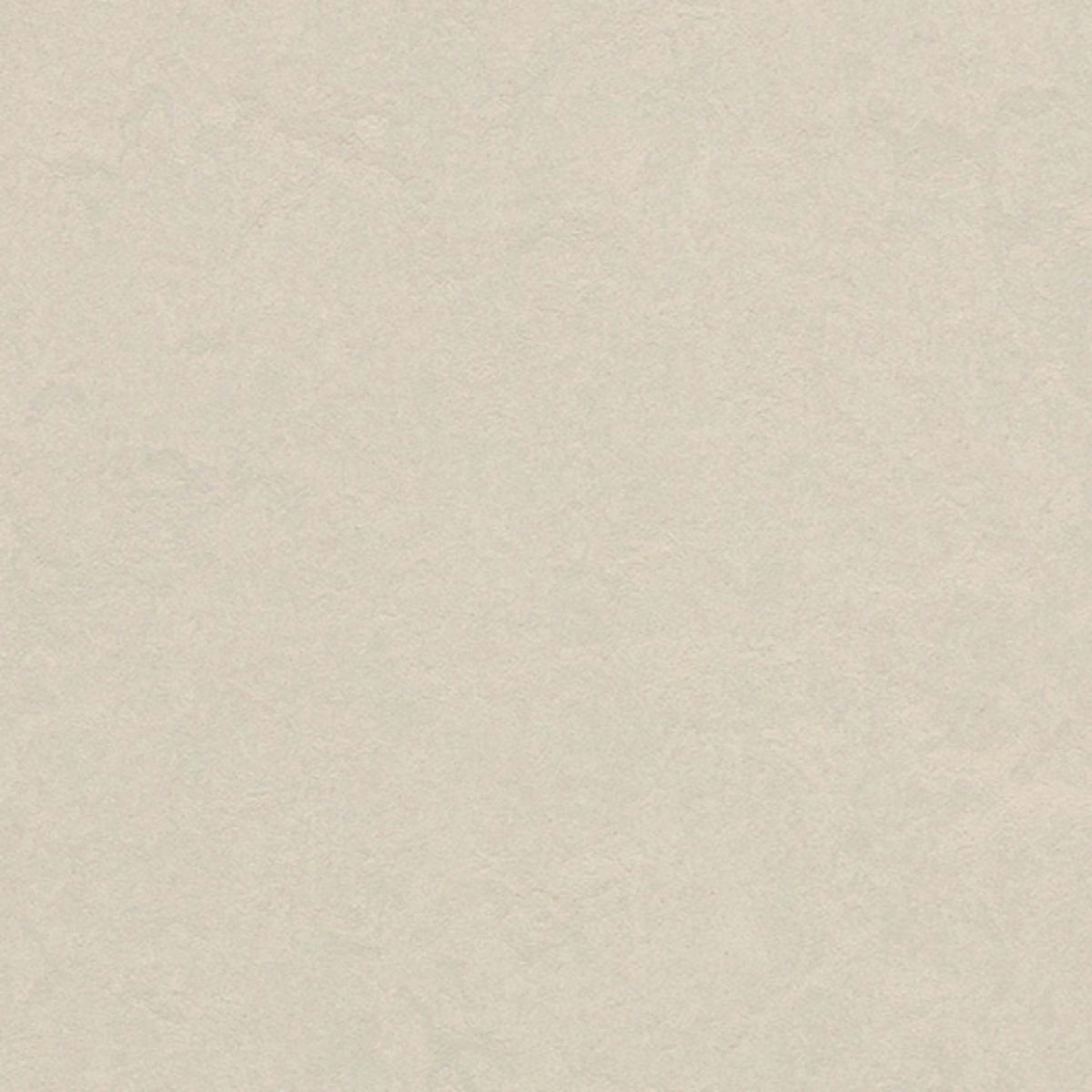 Marmoleum - Cinch LOC SEAL in Edelweiss Vinyl Sheet Goods