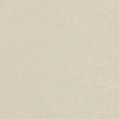 Marmoleum - Cinch LOC SEAL in Edelweiss Vinyl Sheet Goods