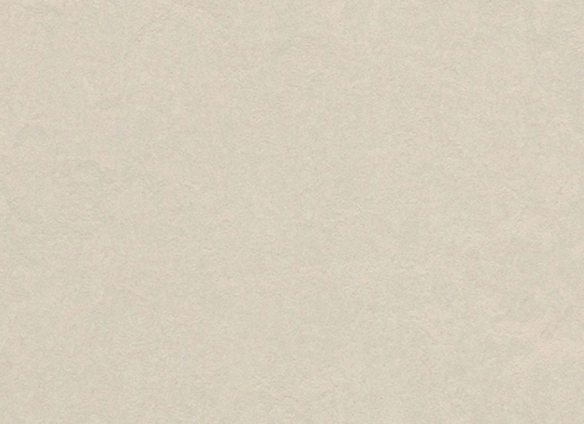 Marmoleum - Cinch LOC SEAL in Edelweiss