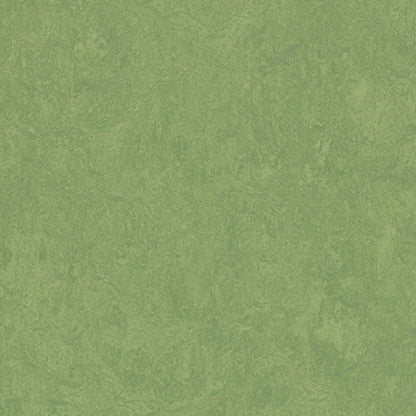 Marmoleum - Cinch LOC SEAL in Leaf Vinyl Sheet Goods