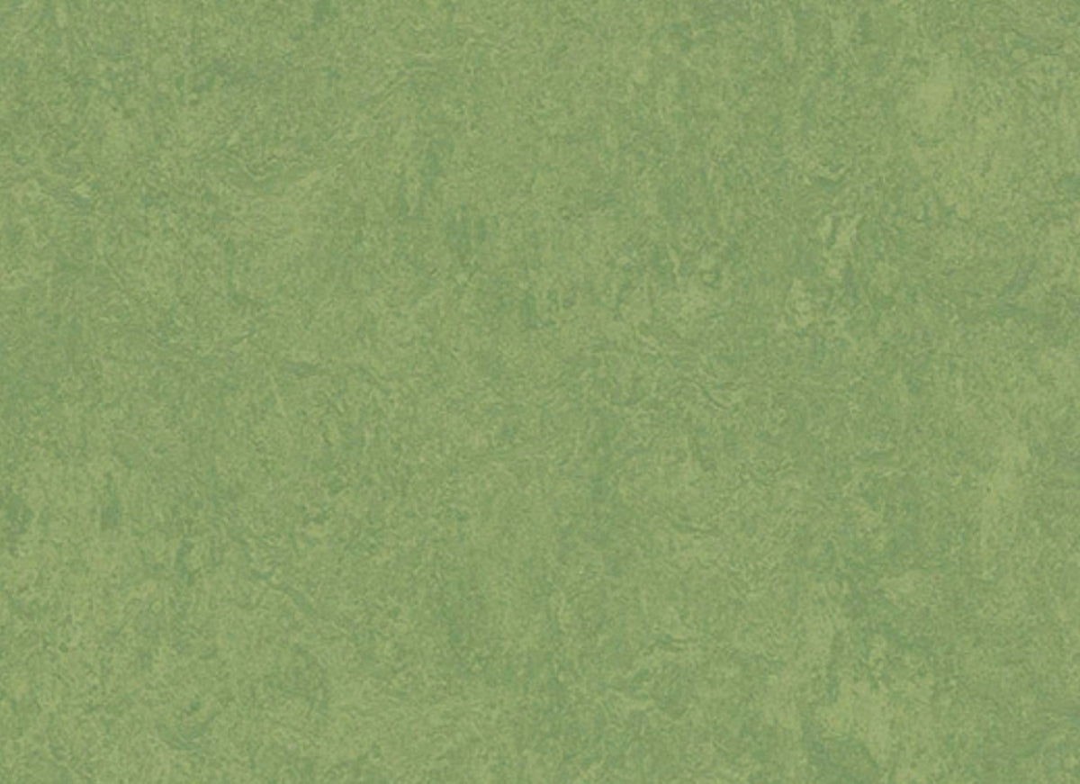 Marmoleum - Cinch LOC SEAL in Leaf