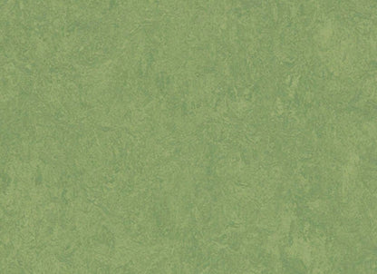Marmoleum - Cinch LOC SEAL in Leaf