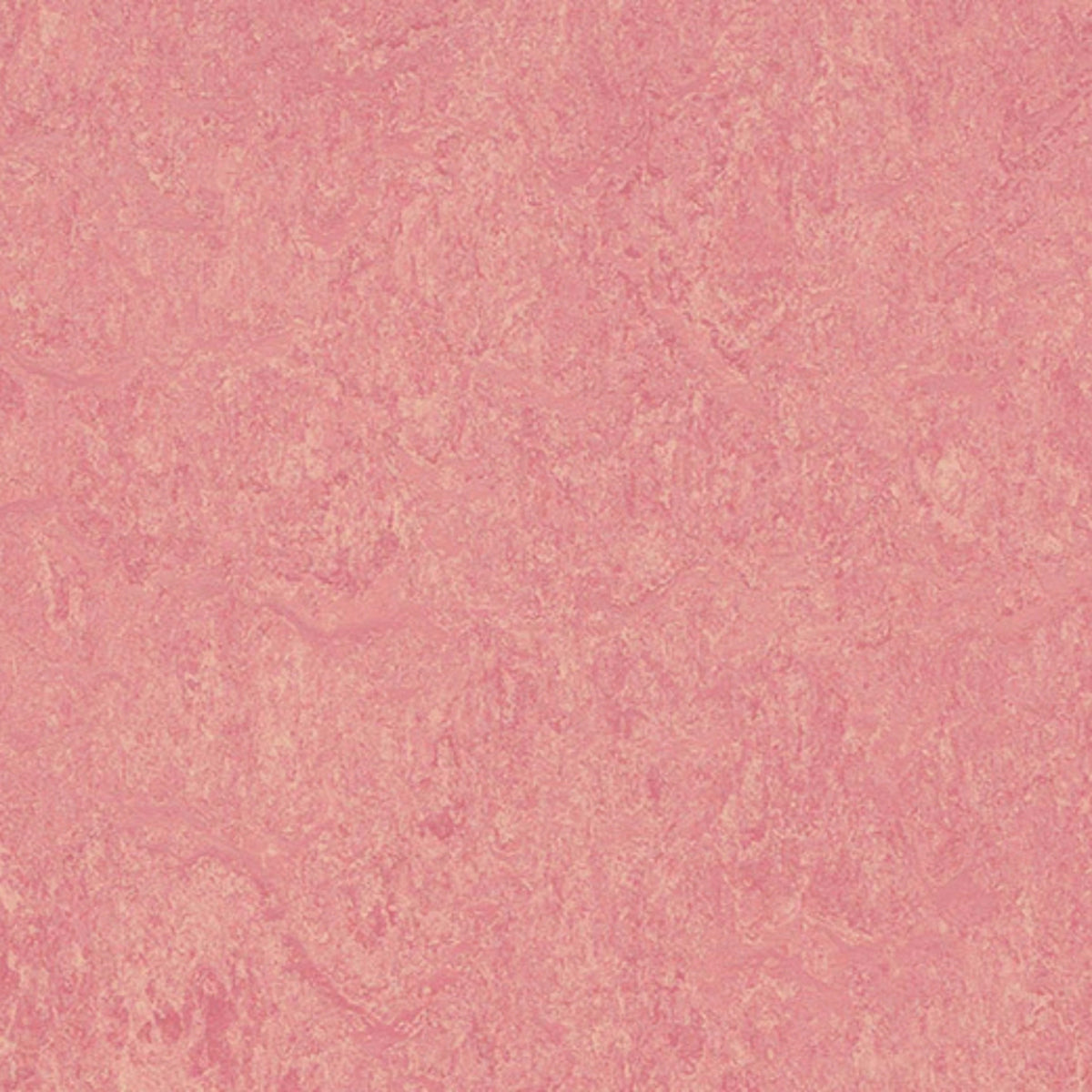 Marmoleum - Cinch LOC SEAL in Honey Suckle Vinyl Sheet Goods