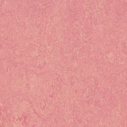Marmoleum - Cinch LOC SEAL in Honey Suckle Vinyl Sheet Goods