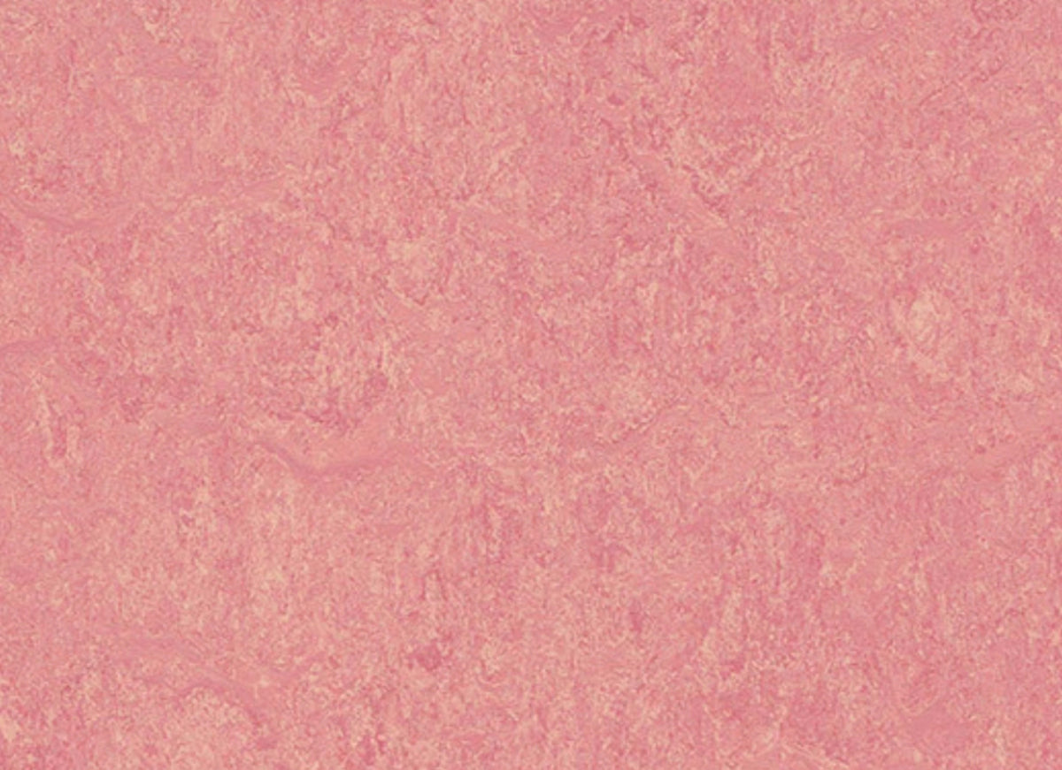 Marmoleum - Cinch LOC SEAL in Honey Suckle