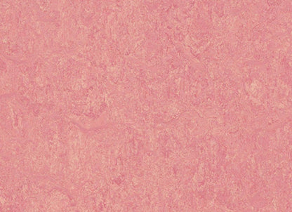 Marmoleum - Cinch LOC SEAL in Honey Suckle