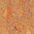 Marmoleum - Cinch LOC SEAL in Asian Tiger Vinyl Sheet Goods