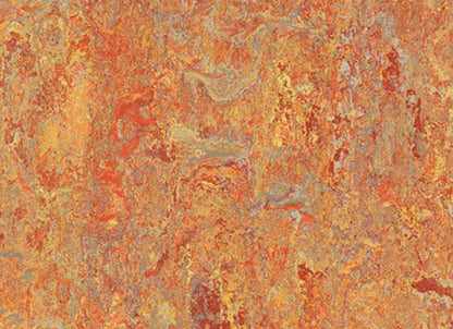 Marmoleum - Cinch LOC SEAL in Asian Tiger