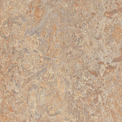 Marmoleum - Cinch LOC SEAL in Donkey Island Vinyl Sheet Goods