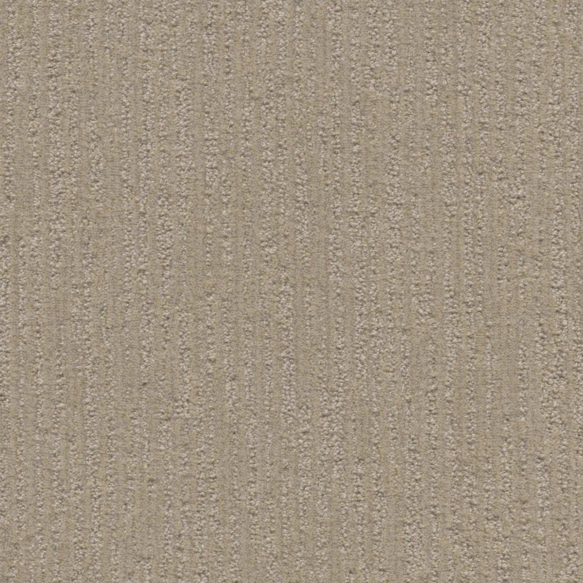 Venetian in Brunello Carpet