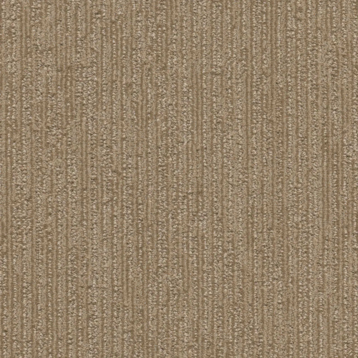 Venetian