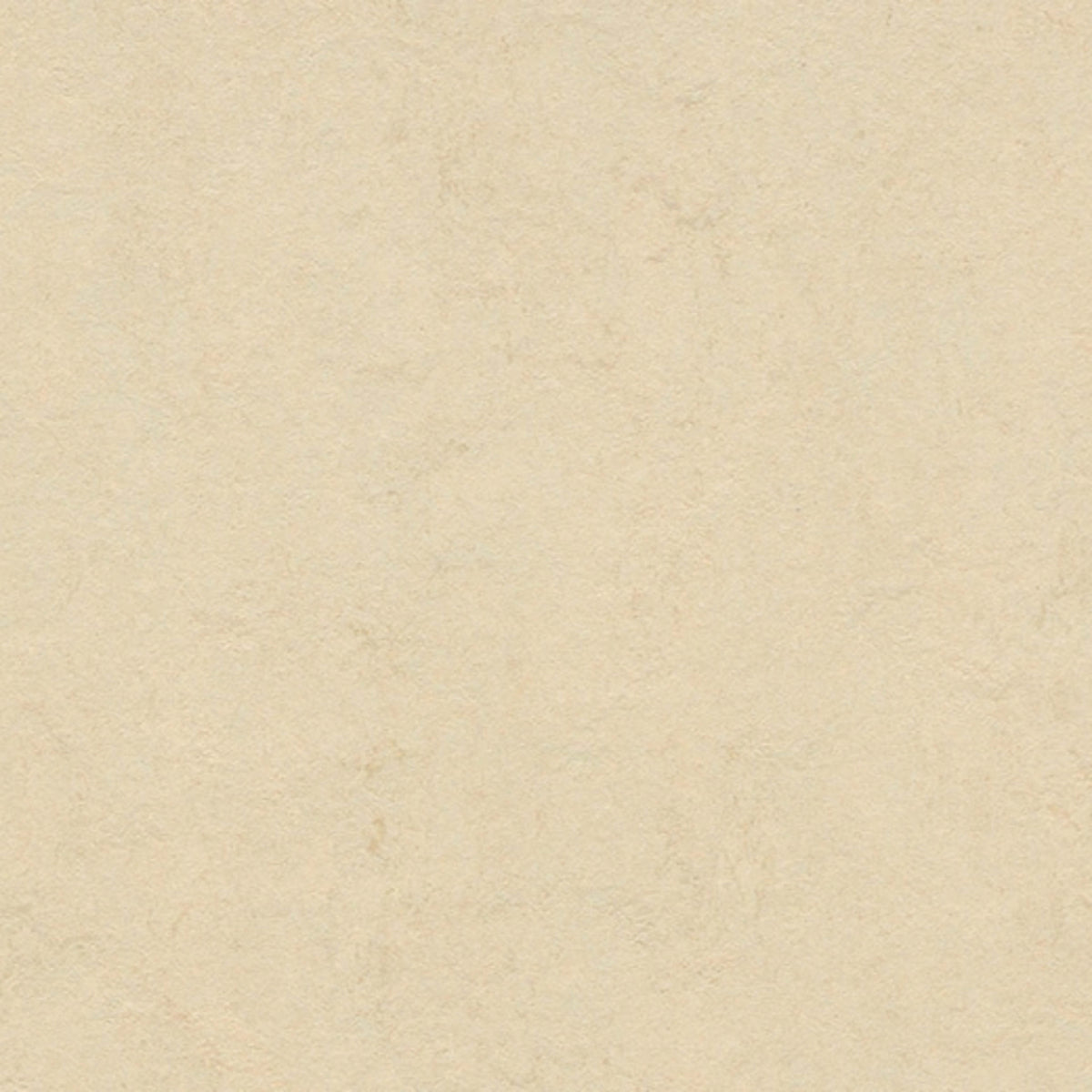 Marmoleum - Cinch LOC SEAL in Barbados Vinyl Sheet Goods