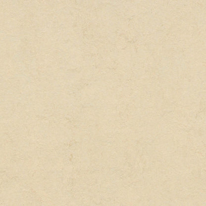 Marmoleum - Cinch LOC SEAL in Barbados Vinyl Sheet Goods
