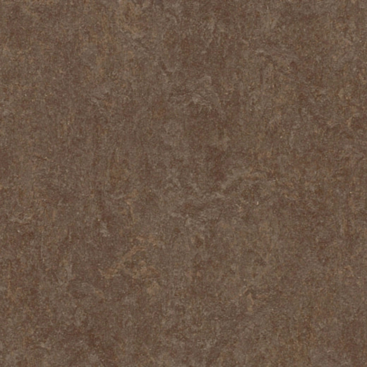 Marmoleum - Cinch LOC SEAL in Walnut Vinyl Sheet Goods